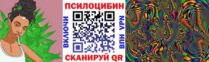 Псилоцибиновые грибы Psilocybine cubensis  Гаврилов Посад 